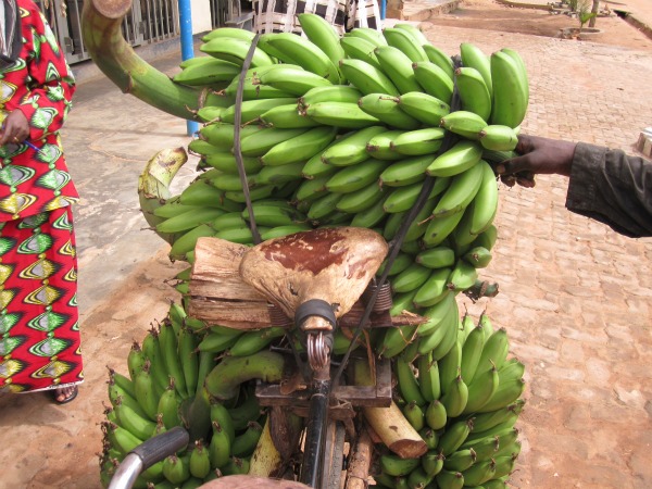 Bananas closeup