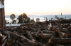 Mukono School wood piles